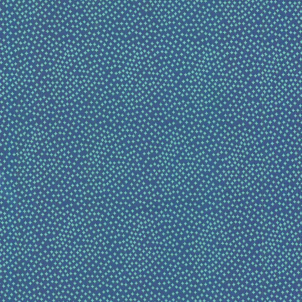 Following Stars Sapphire 270065 by Tracy Porter Fabric Soulful Voyager 100% Polyester see sample see sample Horizontal: 0.00 inches and Vertical: 0.00 inches V 54 inches - Fabric Carolina -