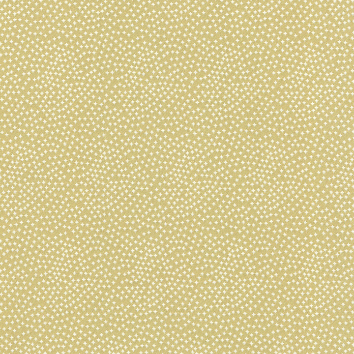 Following Stars Sprout Srd 270067 by Tracy Porter Fabric Tracy Porter 100%Polyester INDIA Abrasion Standard: General Use Horizontal: 0 and Vertical: 0 54" - Fabric Carolina -