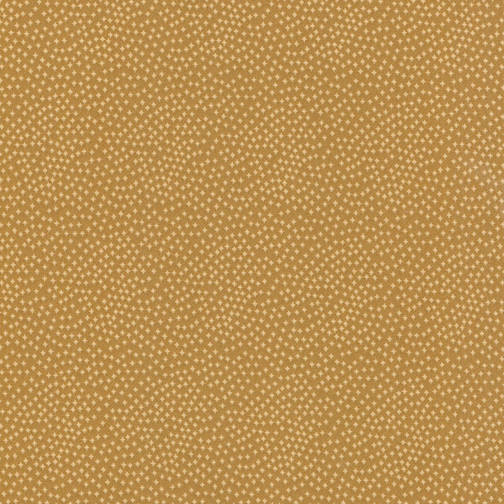 Following Stars Cumin 270068 by Tracy Porter Fabric Soulful Voyager 100% Polyester see sample see sample Horizontal: 0.00 inches and Vertical: 0.00 inches V 54 inches - Fabric Carolina -