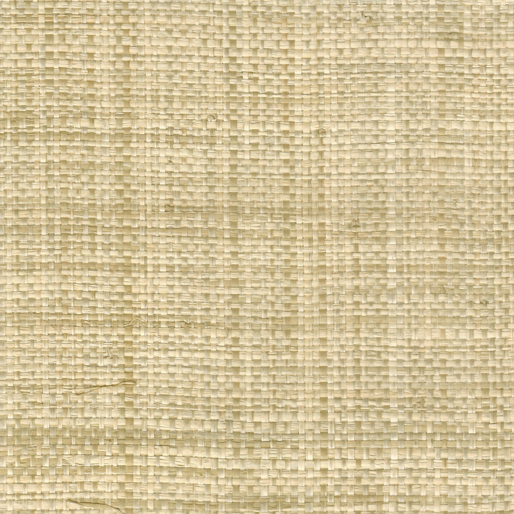 2700 11Wf9061 by JF Wallcovering TONES & TEXTURES V1 FAN DECK 100% Wallpaper China Horizontal: and Vertical: 36 - Fabric Carolina -
