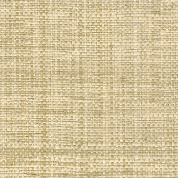 2700 11WF9061 by JF Wallcovering TONES & TEXTURES V1 FAN DECK 100% Wallpaper China Horizontal: and Vertical: N 36 - Fabric Carolina -