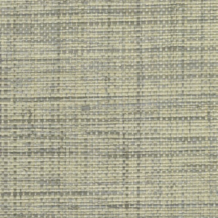 2700 94Wf9061 by JF Wallcovering TONES & TEXTURES V1 FAN DECK 100% Wallpaper China Horizontal: and Vertical: 36 - Fabric Carolina -