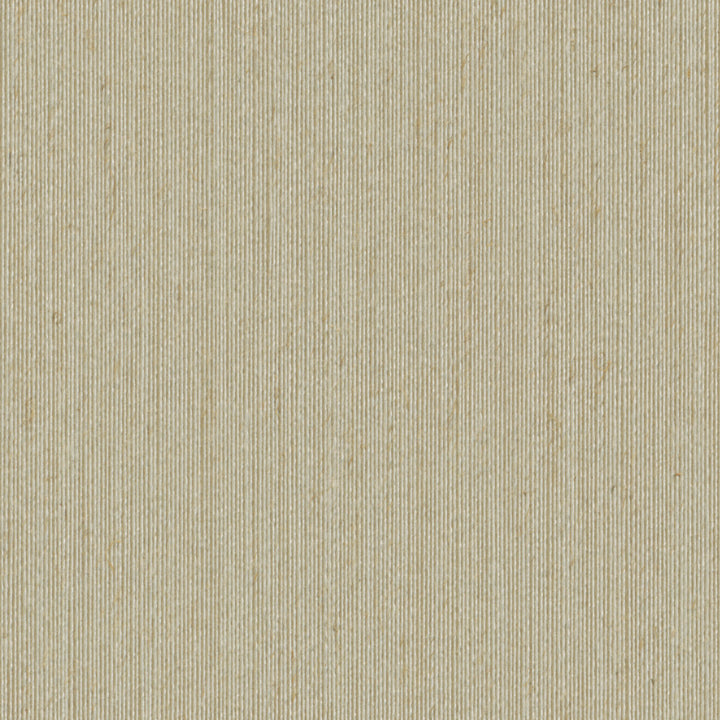 2703 10Wf9061 by JF Wallcovering TONES & TEXTURES V1 FAN DECK 100% Wallpaper China Horizontal: and Vertical: 39 - Fabric Carolina -