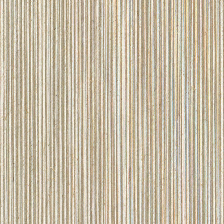 2703 12Wf9061 by JF Wallcovering TONES & TEXTURES V1 FAN DECK 100% Wallpaper China Horizontal: and Vertical: 39 - Fabric Carolina -