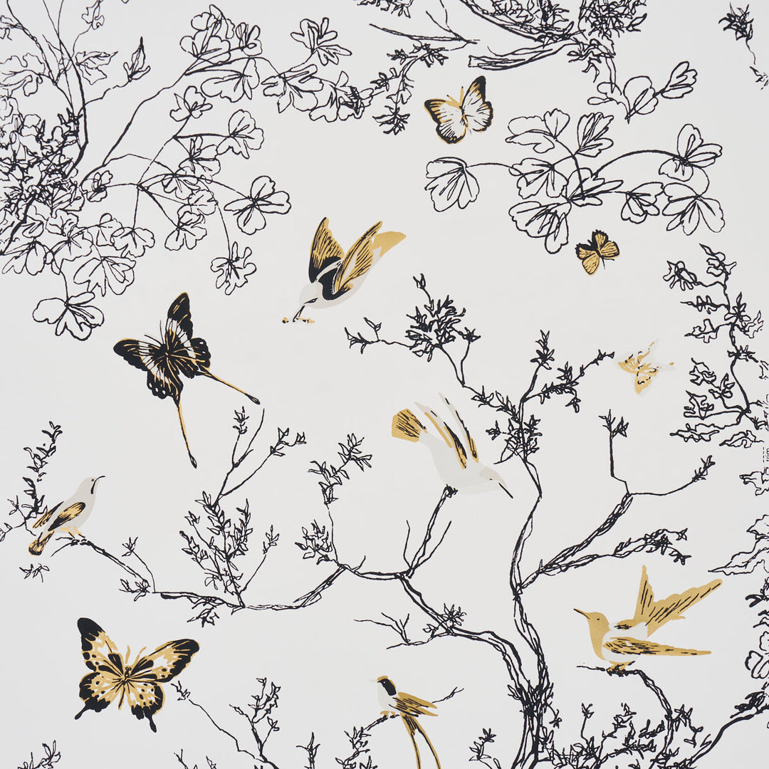 Birds & Butterflies - Black & Gold by Schumacher Wallcovering