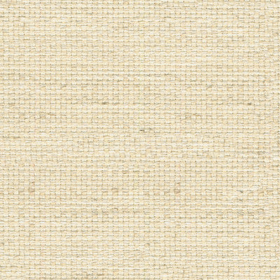 Plainville Bisque by Kravet Smart Fabric