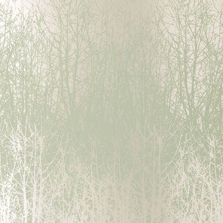 Birches Aqua/Silver 2707241 by Schumacher Wallpaper DEC WALK FALL 2005 WLCVR Paper 0 UNITED STATES OF AMERICA </p><p>Repeat: Horizontal: 13 1/2" (34CM) and Vertical: 32" (81CM) 27 - Fabric Carolina -
