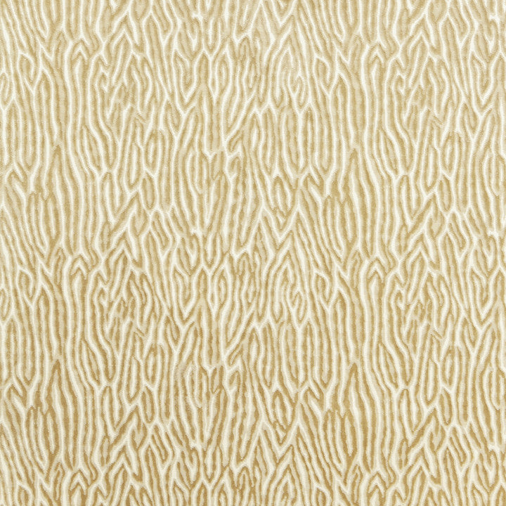 Faux Bois Velvet Sand 27076-002 by Scalamandre Fabric FALL 2016 57% Viscose, 43% Cotton - Dry Clean Only V. 10 1/4", H. 13 3/8" 55" - Fabric Carolina -