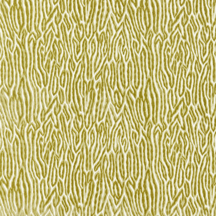 Faux Bois Velvet Peridot 27076-003 by Scalamandre Fabric FALL 2016 57% Viscose, 43% Cotton - Dry Clean Only V. 10 1/4", H. 13 3/8" 55" - Fabric Carolina -