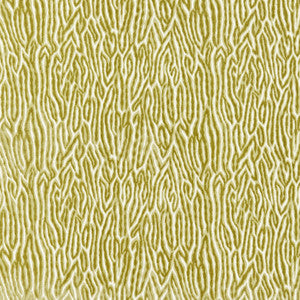 Faux Bois Velvet Peridot 27076-003 by Scalamandre Fabric