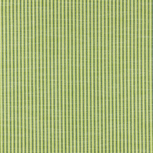 Tisbury Stripe Fern 27109-001 by Scalamandre Fabric