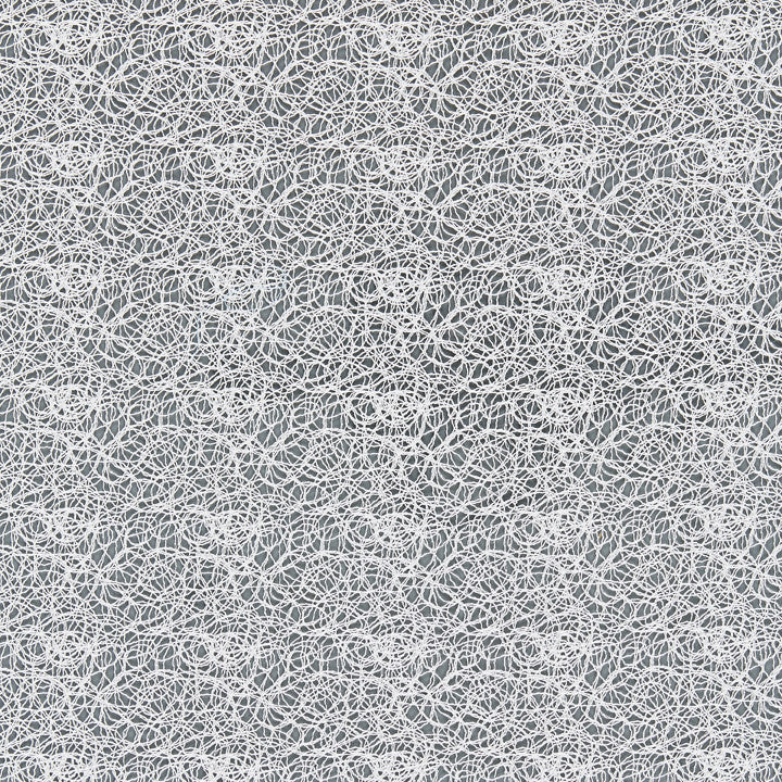 Modern Lace Snow 27146-001 by Scalamandre Fabric MODERN LUXURY 100% Polyester - Dry Clean Only V. 4, H. 4 1/4" 116" - Fabric Carolina -