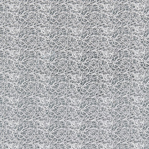 Modern Lace Snow 27146-001 by Scalamandre Fabric