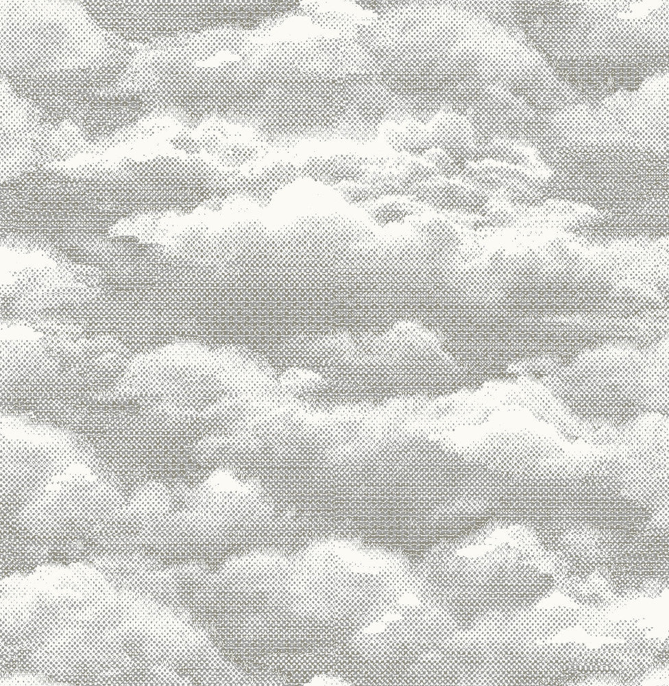 Solstice Opal Cloud Wallpaper by A-Street Prints Eclipse Covers about 56.4 square feet 20.5-in by 33-ft long roll Unpasted 10.4 - Fabric Carolina -