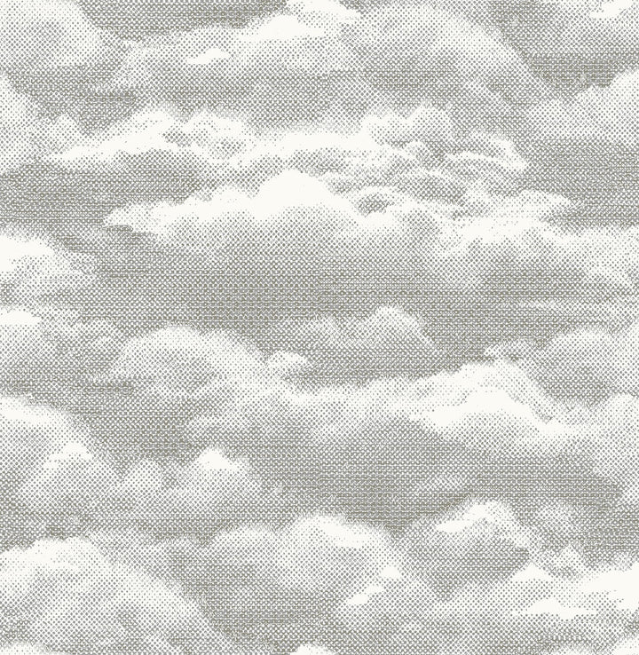 Solstice Opal Cloud Wallpaper by A-Street Prints Eclipse Covers about 56.4 square feet 20.5-in by 33-ft long roll Unpasted 10.4 - Fabric Carolina -