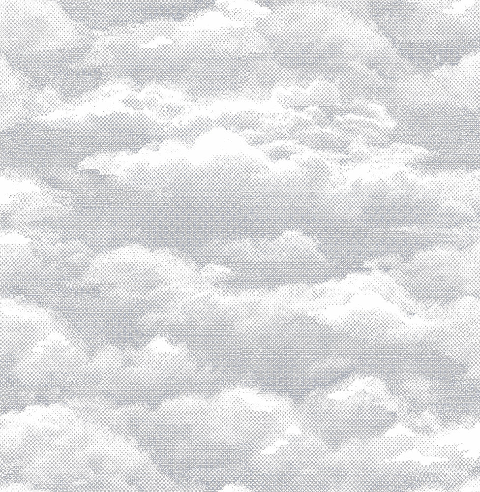 Solstice Dove Cloud Wallpaper by A-Street Prints Eclipse Covers about 56.4 square feet 20.5-in by 33-ft long roll Unpasted 10.4 - Fabric Carolina -