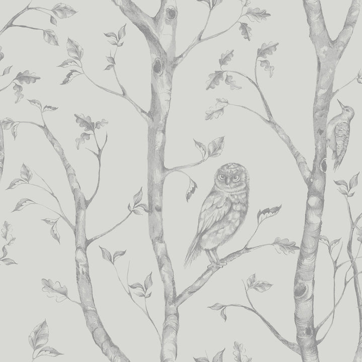 Neptune Grey Forest Wallpaper by A-Street Prints Eclipse Covers about 56.4 square feet 20.5-in by 33-ft long roll Unpasted 10.4 - Fabric Carolina -