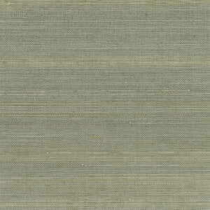 Salisbury Grey Grasscloth Wallpaper by Kenneth James