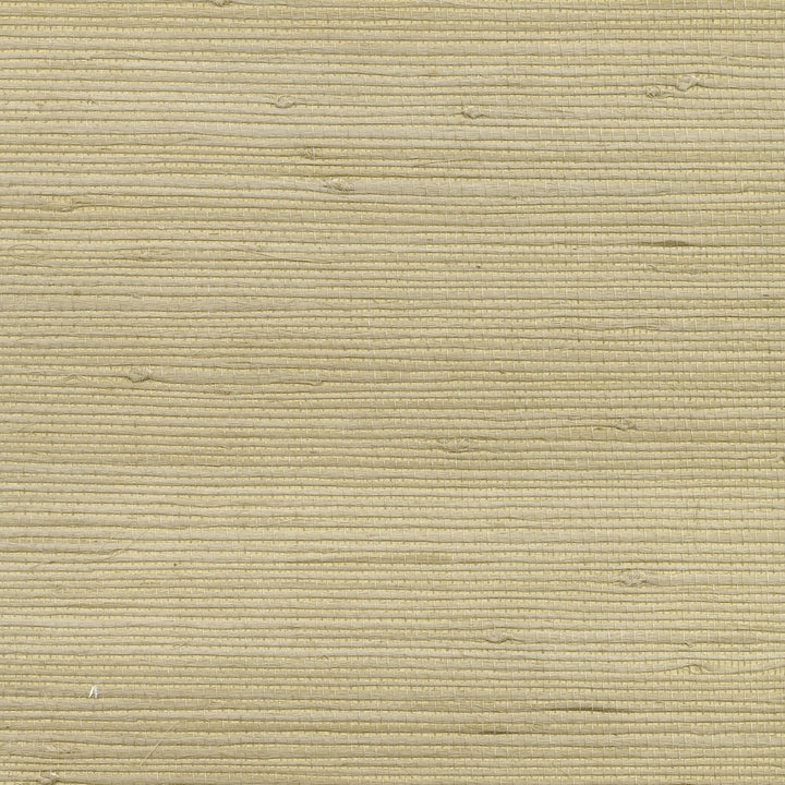 Kulun Beige Grasscloth Wallpaper by Kenneth James Canton Road Covers about 72 square feet 36-in by 24-ft long roll Unpasted 0 - Fabric Carolina -