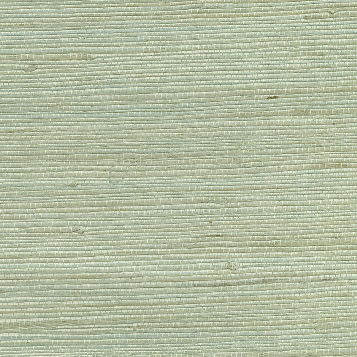 Amur Mint Grasscloth Wallpaper by Kenneth James Canton Road Covers about 72 square feet 36-in by 24-ft long roll Unpasted 0 - Fabric Carolina -