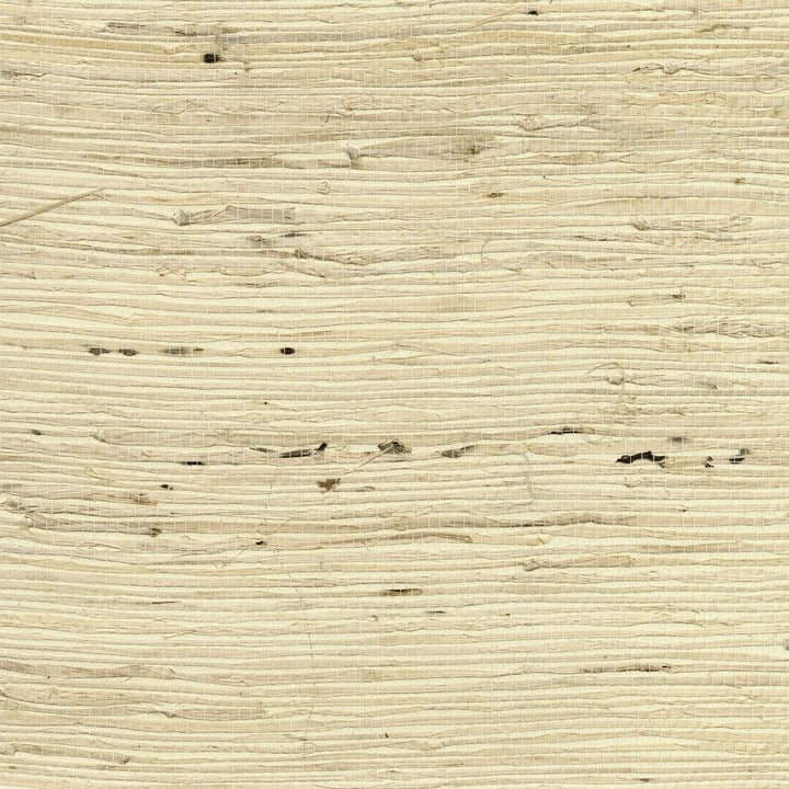 Tomur Beige Grasscloth Wallpaper by Kenneth James Canton Road Covers about 72 square feet 36-in by 24-ft long roll Unpasted 0 - Fabric Carolina -