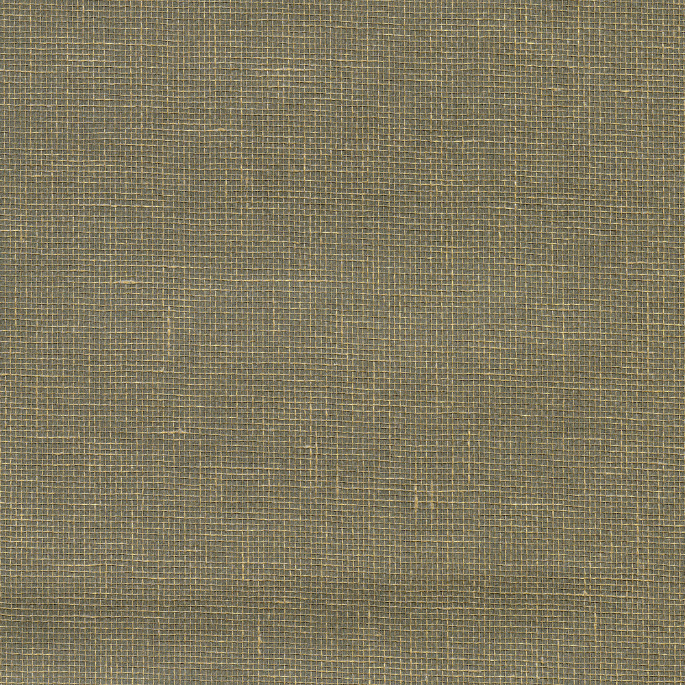 Leyte Pewter Grasscloth Wallpaper by Kenneth James Canton Road Covers about 72 square feet 36-in by 24-ft long roll Unpasted 0 - Fabric Carolina -