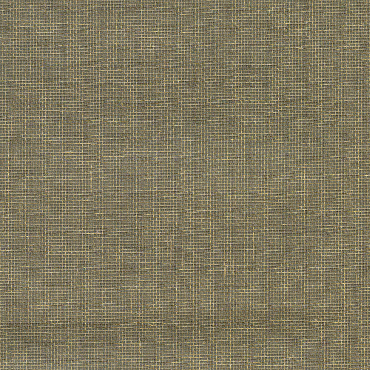Leyte Pewter Grasscloth Wallpaper by Kenneth James Canton Road Covers about 72 square feet 36-in by 24-ft long roll Unpasted 0 - Fabric Carolina -