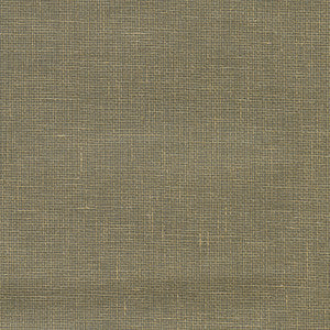 Leyte Pewter Grasscloth Wallpaper by Kenneth James