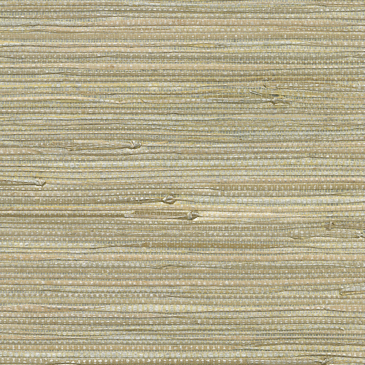 Iriga Platinum Grasscloth Wallpaper by Kenneth James Canton Road Covers about 72 square feet 36-in by 24-ft long roll Unpasted 0 - Fabric Carolina -