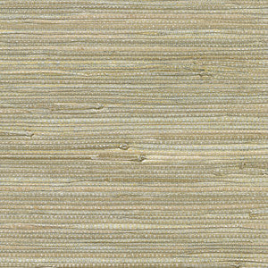 Iriga Platinum Grasscloth Wallpaper by Kenneth James