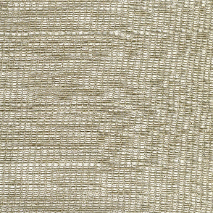 Galan Silver Sisal Grasscloth Wallpaper by Kenneth James Canton Road Covers about 72 square feet 36-in by 24-ft long roll Unpasted 0 - Fabric Carolina -