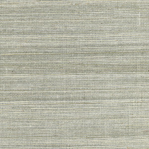 Nathan Silver Grasscloth Wallpaper by Kenneth James