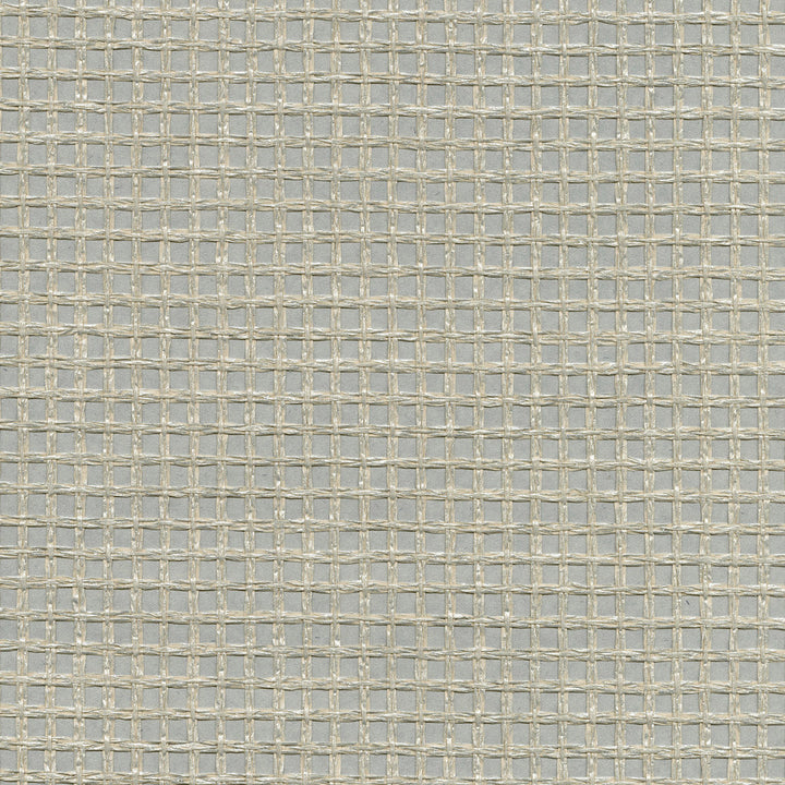 Wanchai Grey Grasscloth Wallpaper by Kenneth James Canton Road Covers about 72 square feet 36-in by 24-ft long roll Unpasted 0 - Fabric Carolina -