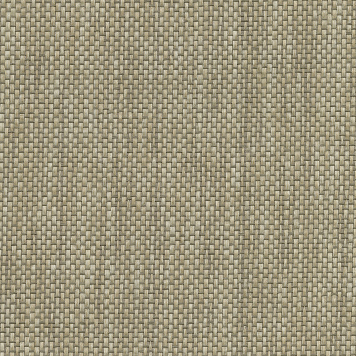 Gaoyou Khaki Paper Weave Wallpaper by Kenneth James Canton Road Covers about 72 square feet 36-in by 24-ft long roll Unpasted 0 - Fabric Carolina -