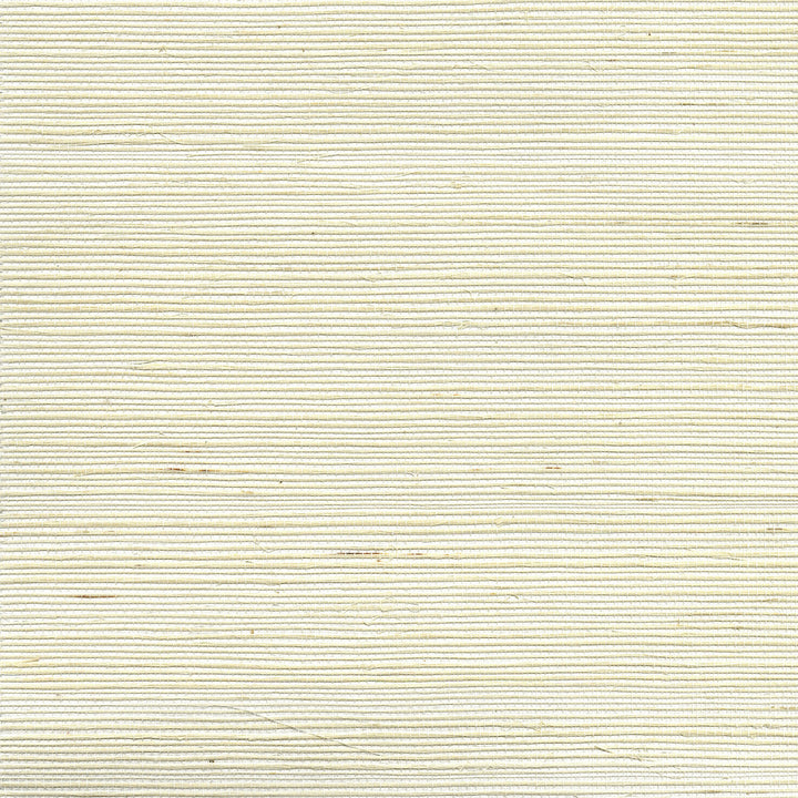 Luoma Off White Sisal Grasscloth Wallpaper by Kenneth James Canton Road Covers about 72 square feet 36-in by 24-ft long roll Unpasted 0 - Fabric Carolina -