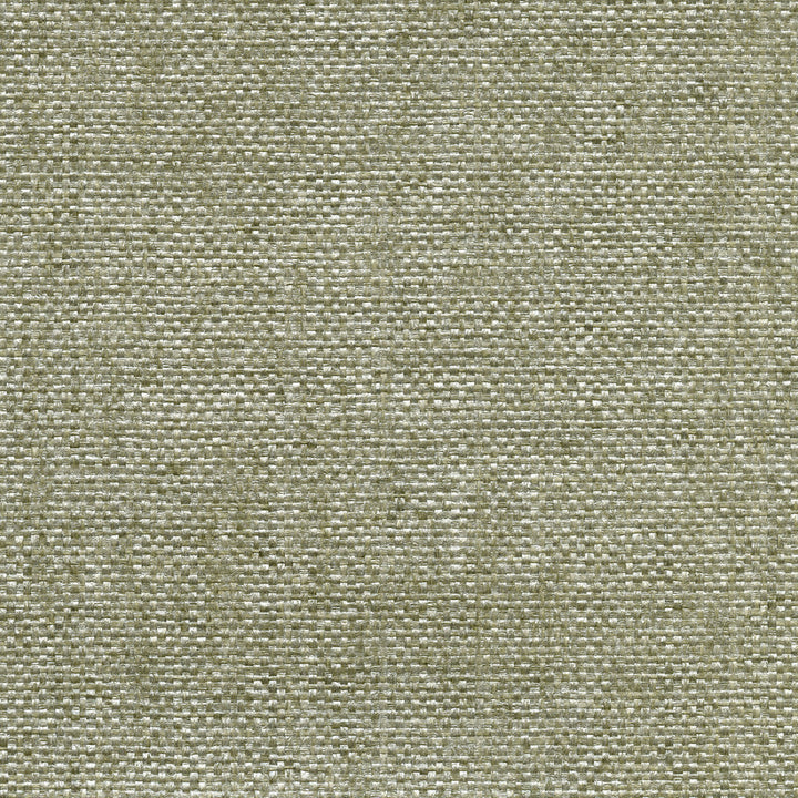 Kushan Light Green Paper Weave Wallpaper by Kenneth James Canton Road Covers about 72 square feet 36-in by 24-ft long roll Unpasted 0 - Fabric Carolina -