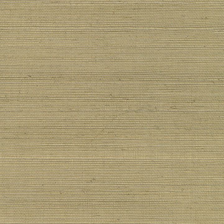 Luoma Light Brown Sisal Grasscloth Wallpaper by Kenneth James Canton Road Covers about 72 square feet 36-in by 24-ft long roll Unpasted 0 - Fabric Carolina -
