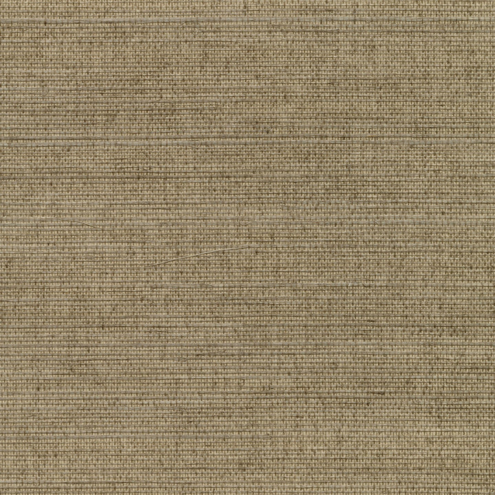 Kansu Brown Sisal Grasscloth Wallpaper by Kenneth James Canton Road Covers about 72 square feet 36-in by 24-ft long roll Unpasted 0 - Fabric Carolina -