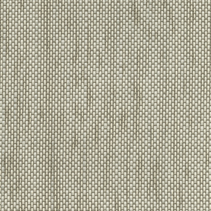 Gaoyou Ivory Paper Weave Wallpaper by Kenneth James Canton Road Covers about 72 square feet 36-in by 24-ft long roll Unpasted 0 - Fabric Carolina -