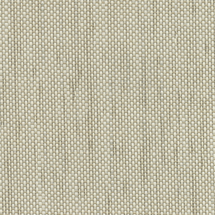 Gaoyou Beige Paper Weave Wallpaper by Kenneth James Canton Road Covers about 72 square feet 36-in by 24-ft long roll Unpasted 0 - Fabric Carolina -