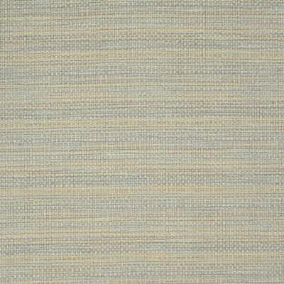 Trask Opal by Kravet Basics Fabric