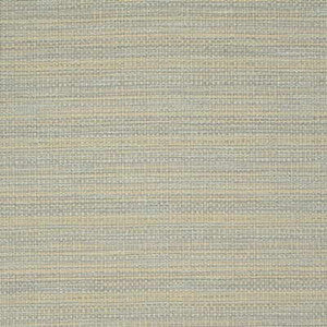 Trask Opal by Kravet Basics Fabric