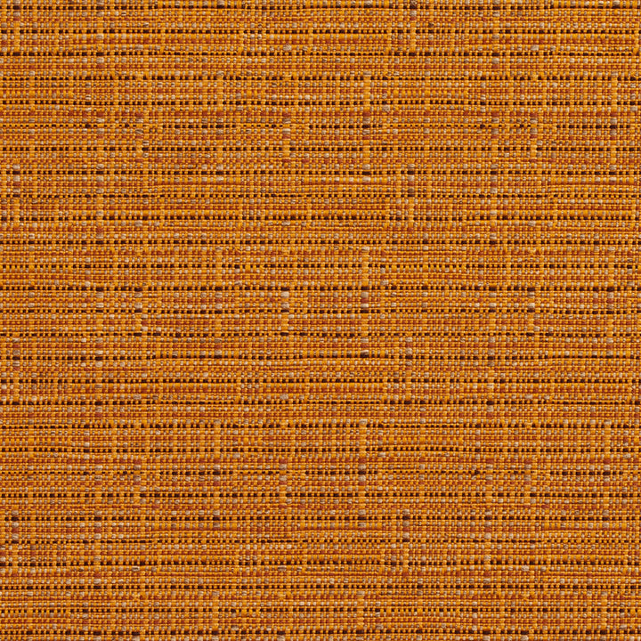 2738 Amber by Charlotte Fabric Durables II 100% Woven Polyester Made In USA Exceeds 100,000 Wyzenbeek Rubs (Heavy Duty) No Repeat 54 Inches - Fabric Carolina -