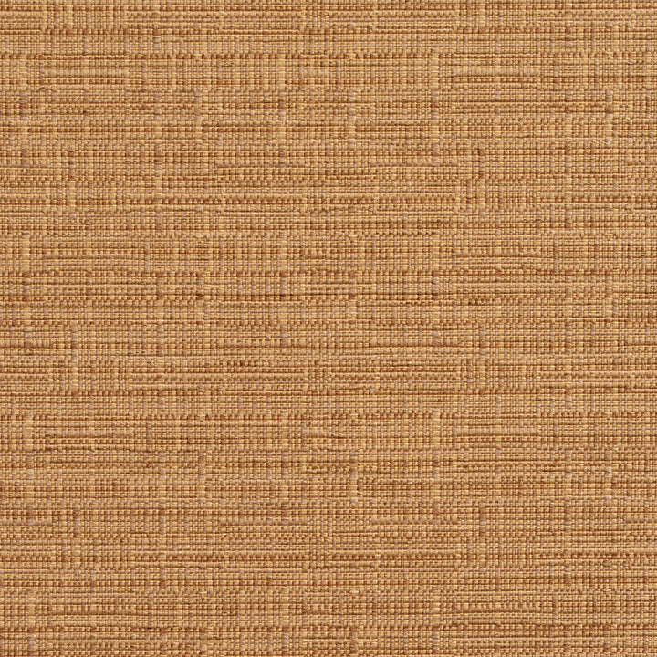 2740 Khaki by Charlotte Fabric Durables II 100% Woven Polyester Made In USA Exceeds 100,000 Wyzenbeek Rubs (Heavy Duty) No Repeat 54 Inches - Fabric Carolina -