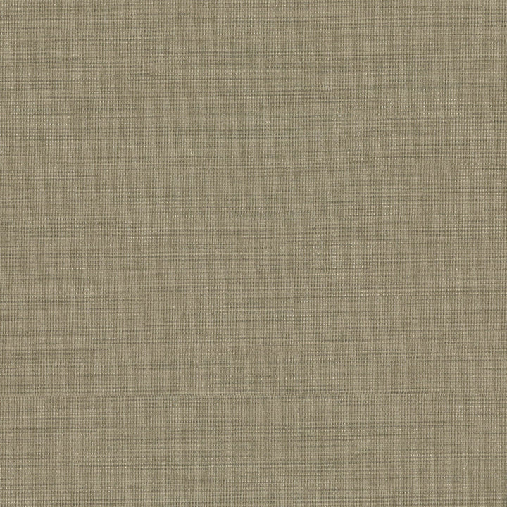Giana Brown Horizontal Silk Wallpaper by Warner Texturall III Covers about 60.8 square feet 27-in by 27-ft long roll Unpasted 0 - Fabric Carolina -
