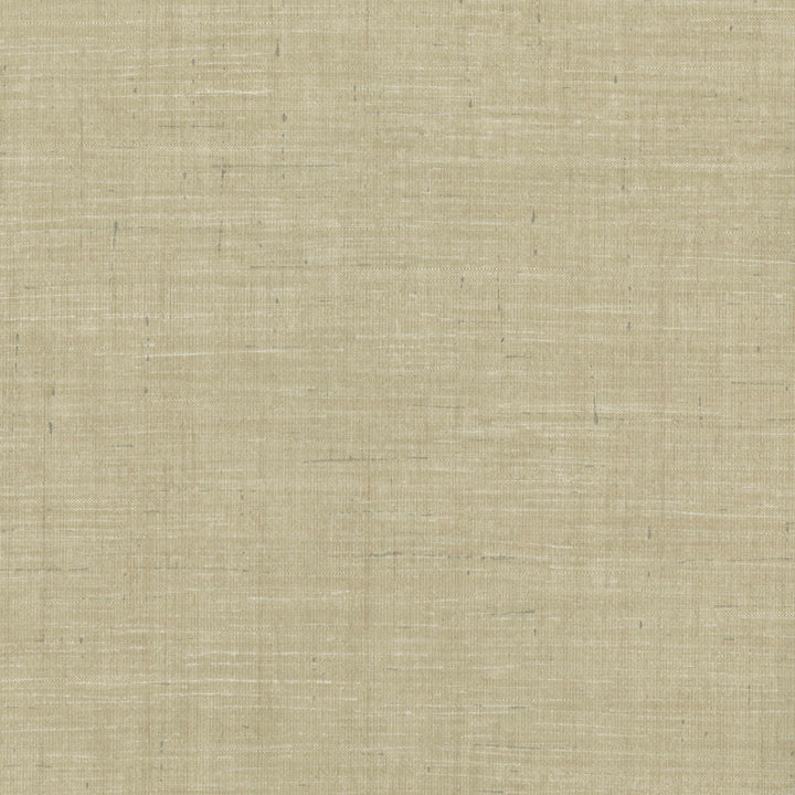Ditmar Taupe Striped Woven Texture Wallpaper by Warner Texturall III Covers about 60.8 square feet 27-in by 27-ft long roll Unpasted 0 - Fabric Carolina -