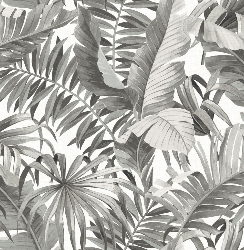 Alfresco Black Palm Leaf Wallpaper by A-Street Prints Solstice Covers about 56.4 square feet 20.5-in by 33-ft long roll Unpasted 21 - Fabric Carolina -