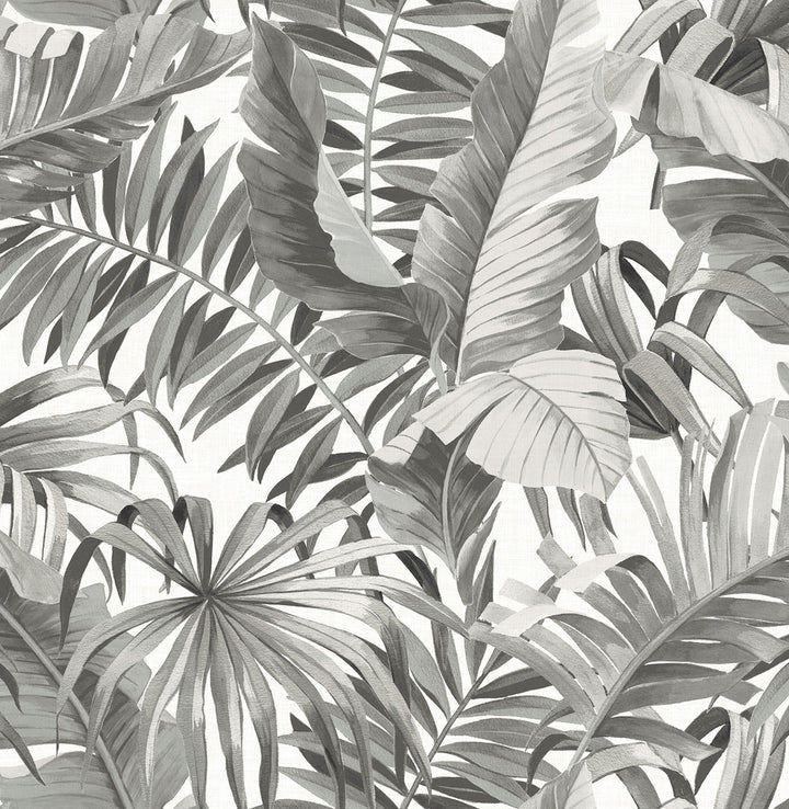 Alfresco Black Palm Leaf Wallpaper by A-Street Prints Solstice Covers about 56.4 square feet 20.5-in by 33-ft long roll Unpasted 21 - Fabric Carolina -
