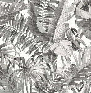 Alfresco Black Palm Leaf Wallpaper by A-Street Prints