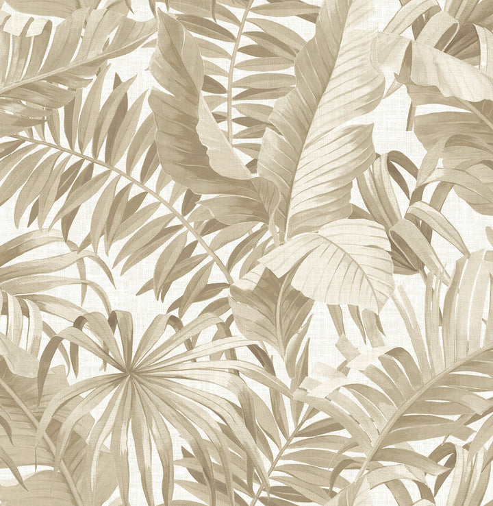 Alfresco Taupe Palm Leaf Wallpaper by A-Street Prints Solstice Covers about 56.4 square feet 20.5-in by 33-ft long roll Unpasted 21 - Fabric Carolina -
